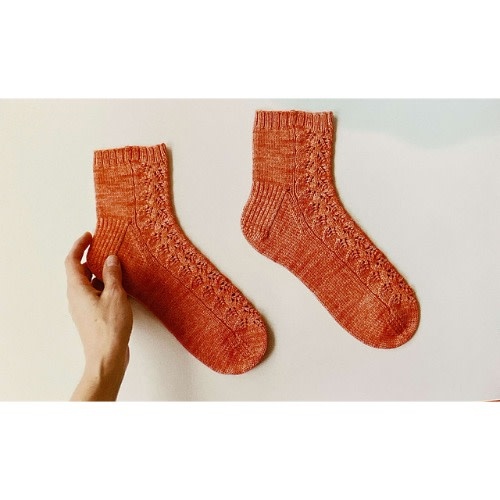 The Sock Project by Summer Lee