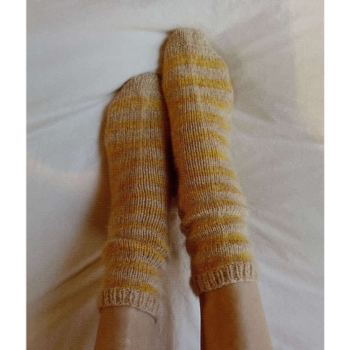 The Sock Project by Summer Lee