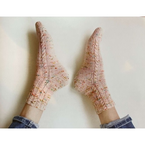 The Sock Project by Summer Lee