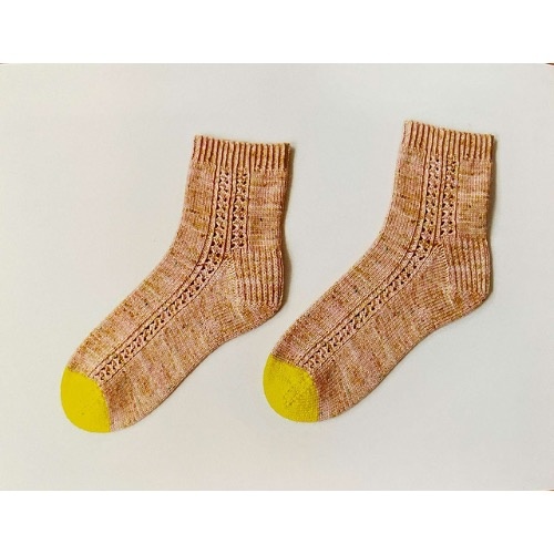 The Sock Project by Summer Lee