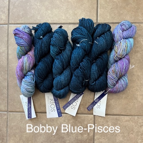 Malabrigo Leheigh Shawl - Malabrigo Rios KAL Kit