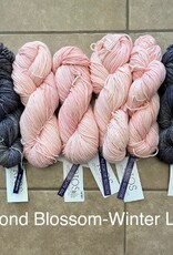 Malabrigo Leheigh Shawl - Malabrigo Rios KAL Kit
