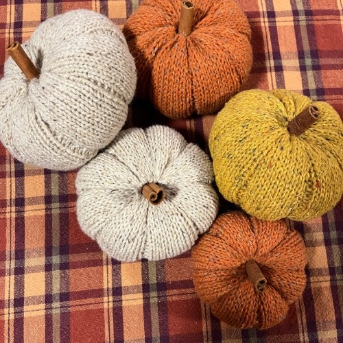 Autumn Pumpkin Kits