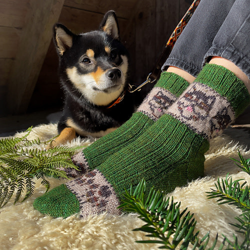 Charming Colorwork Socks