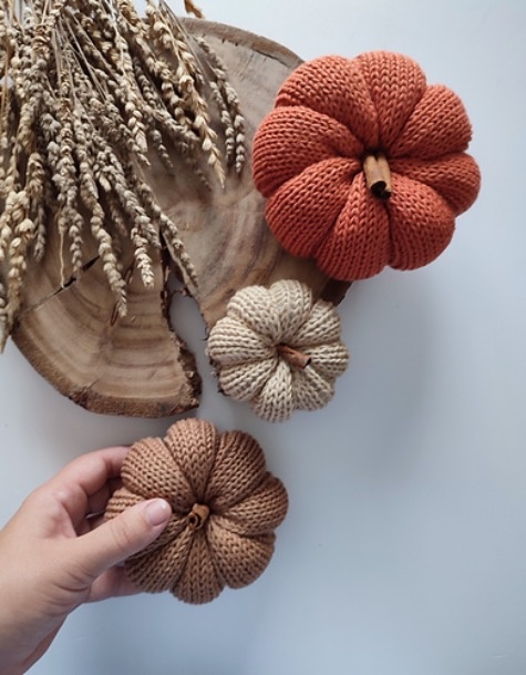 Wednesday, September 17, 2025, Issue 409: Happy Wednesday!  What is on your needles?