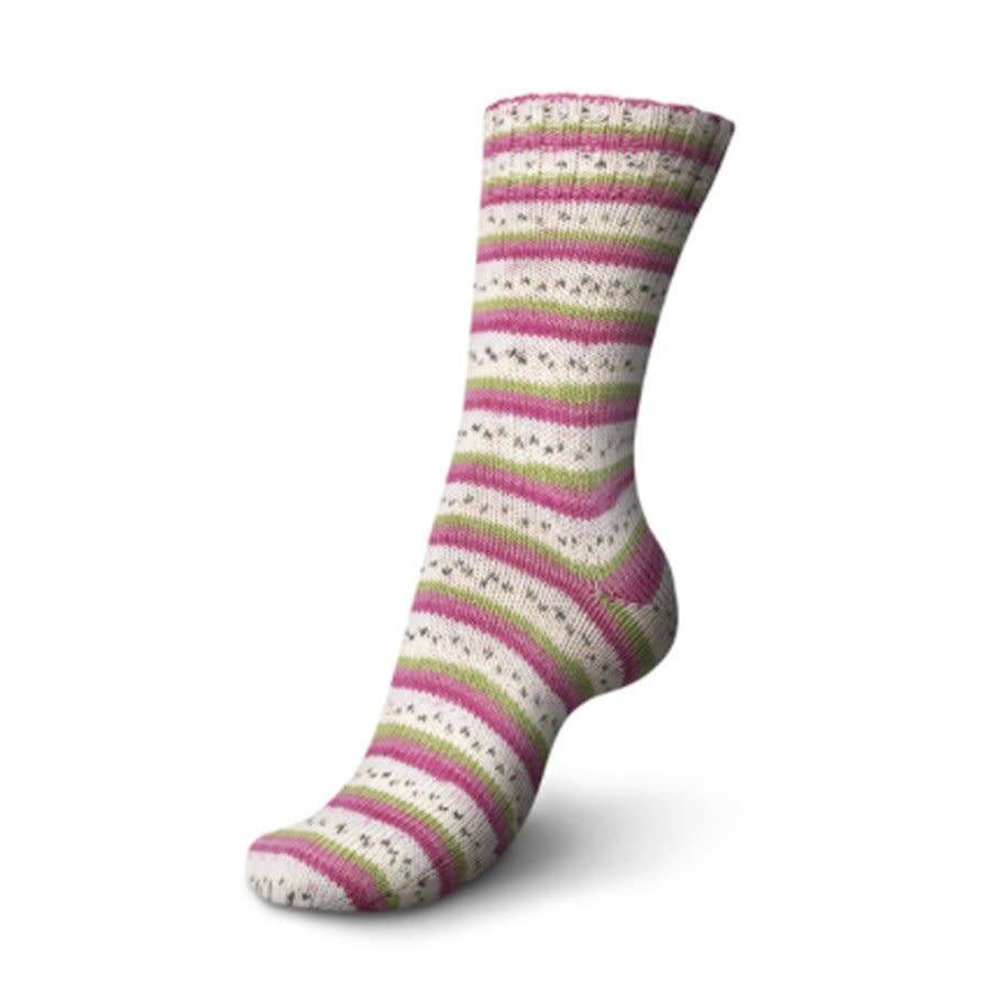Regia Regia 4 Ply Cotton Color