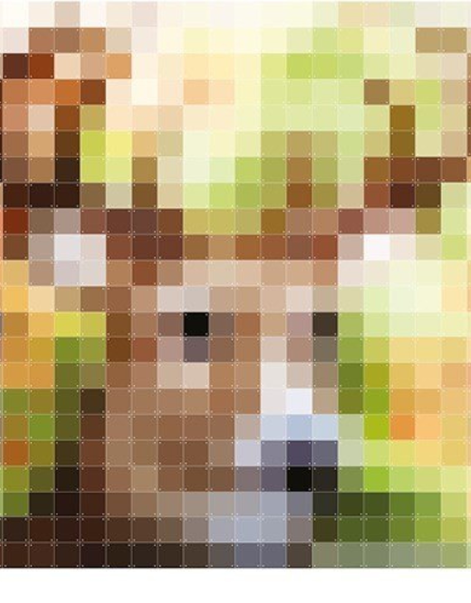 IXXI Pixelated Patchwork Deer - 200cm x 200cm