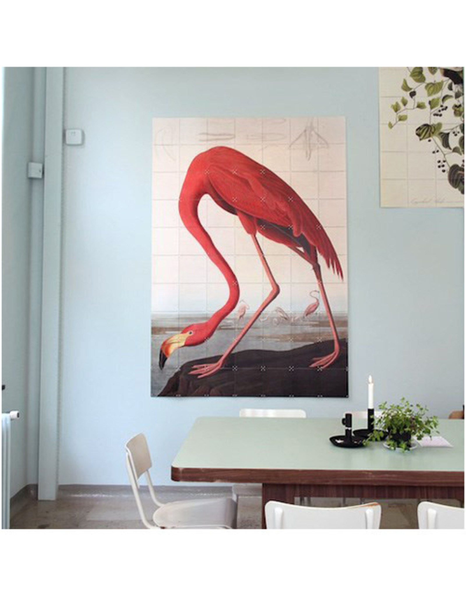 IXXI Audubon Flamingo - 100cm x 140cm