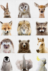 IXXI Animal Family (Double-Sided) - 12 Cards