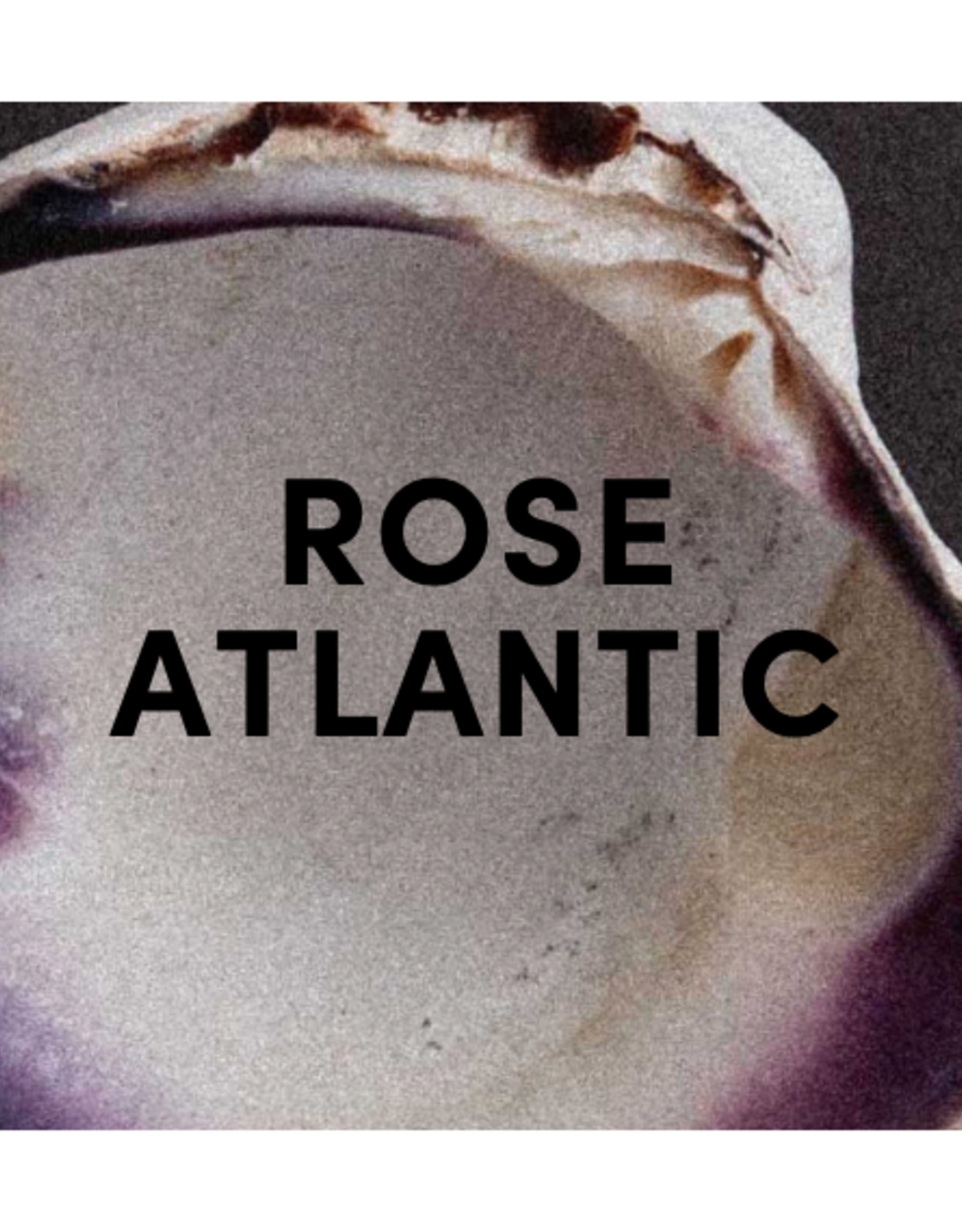 D.S. & DURGA Rose Atlantic - Pocket Perfume - 10mL
