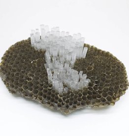LBK Studio Paper Wasp Comb Sculpture - Medium