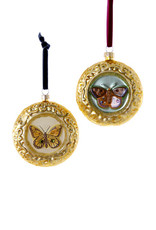 Cody Foster & Co. FRAMED BUTTERFLY ORNAMENT - 2 STYLES