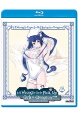 Sentai Filmworks Is It Wrong To Expect A Hot Spring In A Dungeon?! Blu-Ray SE