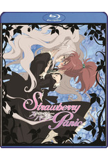 Strawberry Panic Complete Collection Blu-Ray - Collectors Anime LLC