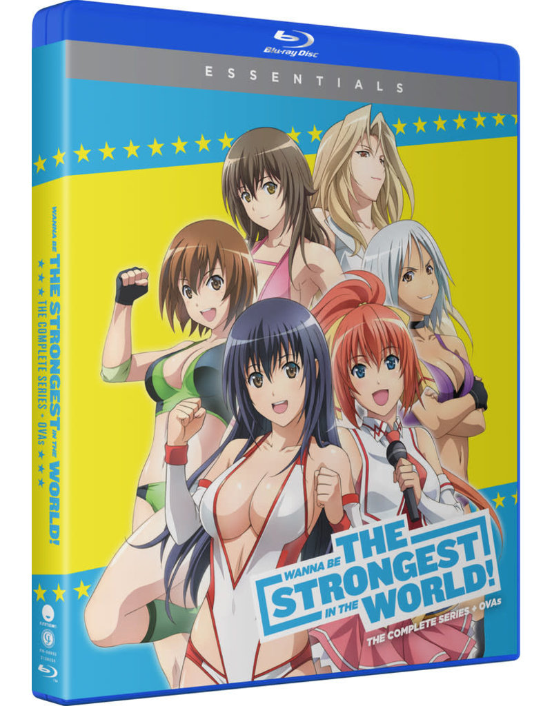 Crunchyroll Ent Wanna Be the Strongest in the World Essentials Blu-Ray