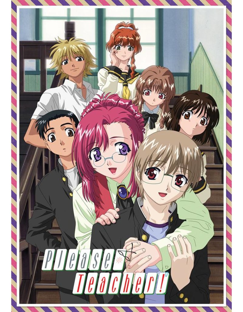 Nozomi Ent/Lucky Penny Please Teacher Complete Collection DVD