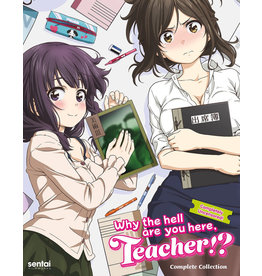 Sentai Filmworks Why The Hell Are You Here Teacher!? Blu-Ray