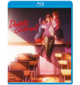 Sentai Filmworks Domestic Girlfriend Blu-Ray