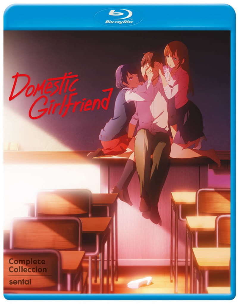 Sentai Filmworks Domestic Girlfriend Blu-Ray