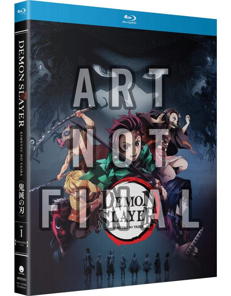 Crunchyroll Ent Demon Slayer Kimetsu No Yaiba Part 1 Standard Edition Blu-Ray
