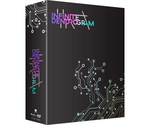 Infinite Dendrogram: Volume 13 (Paperback)