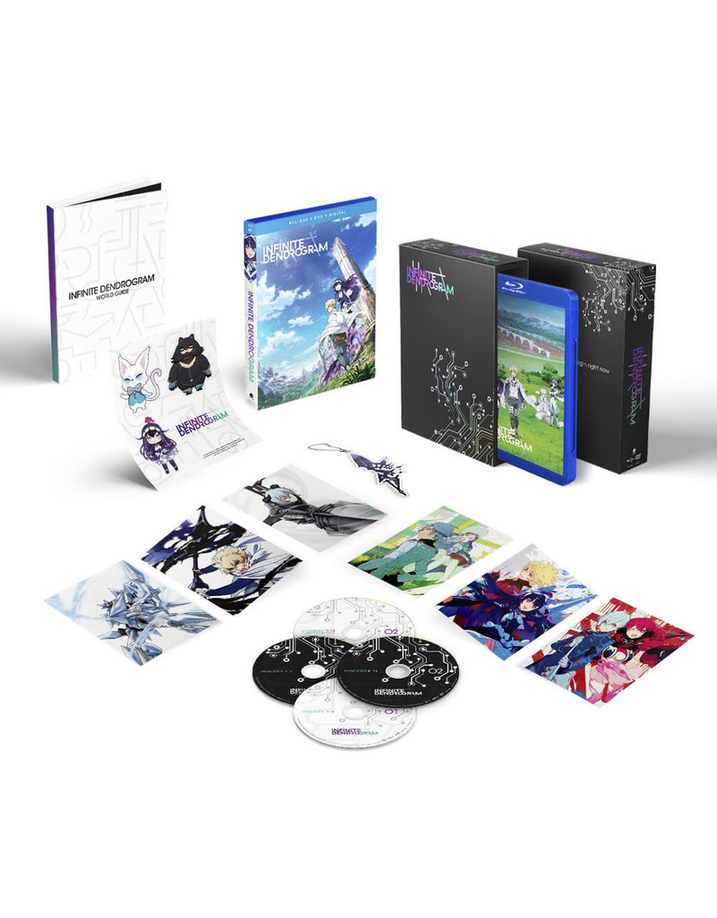 Funimation Entertainment Infinite Dendrogram Limited Edition Blu-Ray/DVD