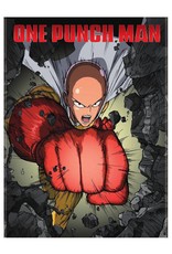 Viz Media One Punch Man DVD
