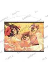 Kadokawa Haruhi Suzumiya Series B2 Wallscroll Summer Ver Afterglow