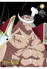 Crunchyroll Ent One Piece Collection No.19 DVD