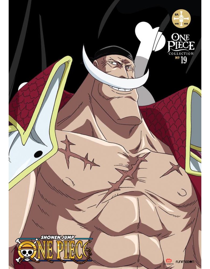 Crunchyroll Ent One Piece Collection No.19 DVD