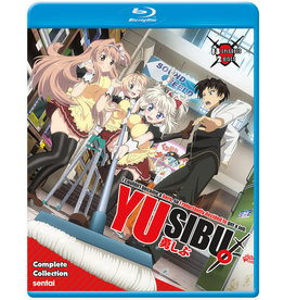 Sentai Filmworks I Couldn't Become a Hero So I Reluctantly Decided to Get a Job (YuSibu) Blu-ray