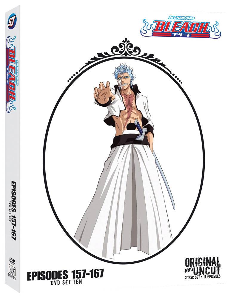 Bleach on DVD