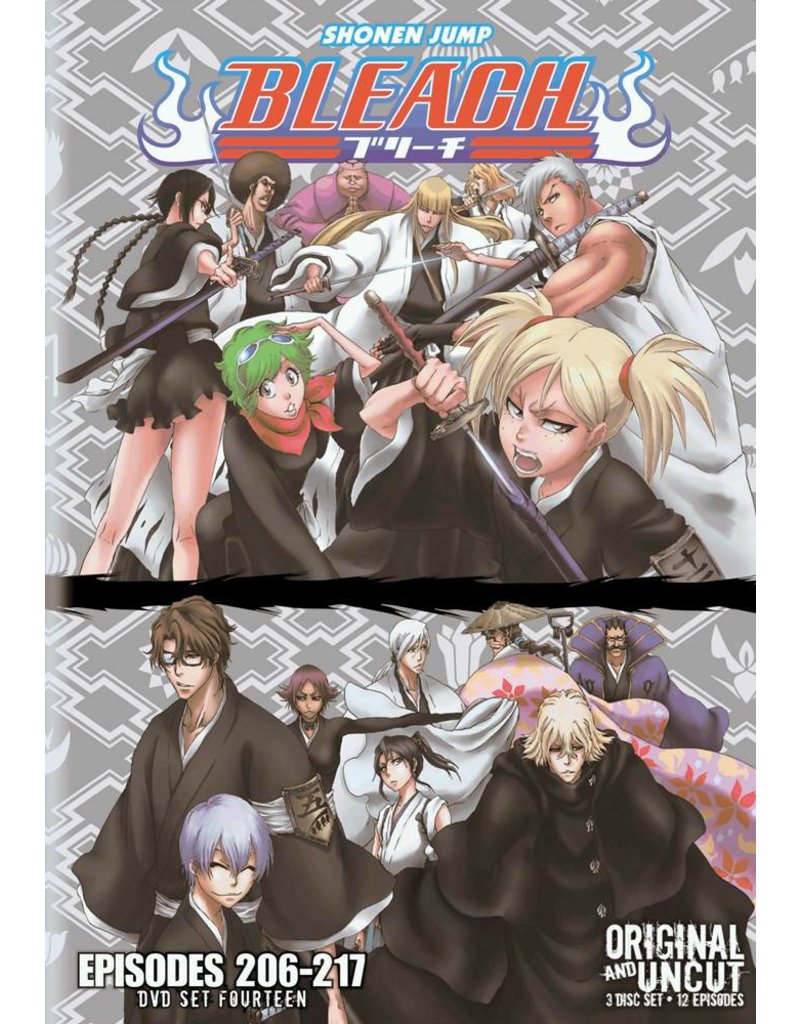 Bleach: Set Fourteen DVD (Episodes 206-217)