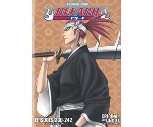 Viz Media Bleach Uncut Set 16 (Eps 230-242) DVD - Collectors Anime LLC