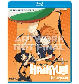 Sentai Filmworks Haikyu!! Complete Season 1 Blu-Ray