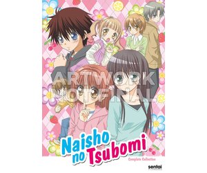 Naisho No Tsubomi Dvd Collectors Anime Collectors Anime Llc Naisho No Tsubomi Dvd Collectors Anime Collectors Anime Llc