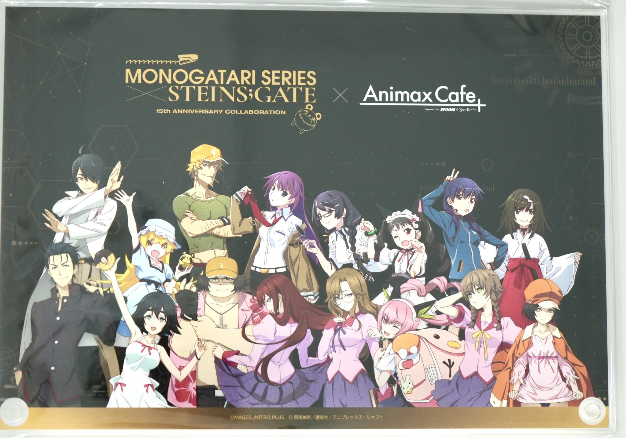 Monogatari Series x Steins;Gate Animax+ Collab Acrylic Panel