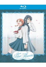 Nozomi Ent/Lucky Penny Sweet Blue Flowers Complete Series Blu-Ray