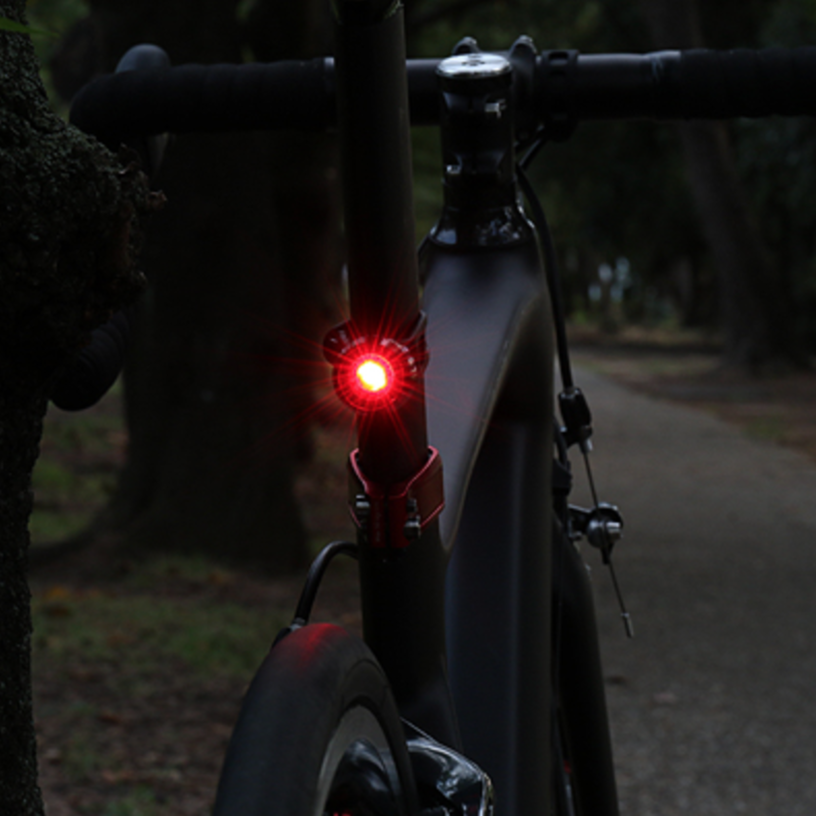 Cateye ORB Rear Light - Rechargable