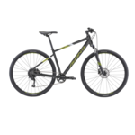 Avanti X-Plorer 2 MS Black