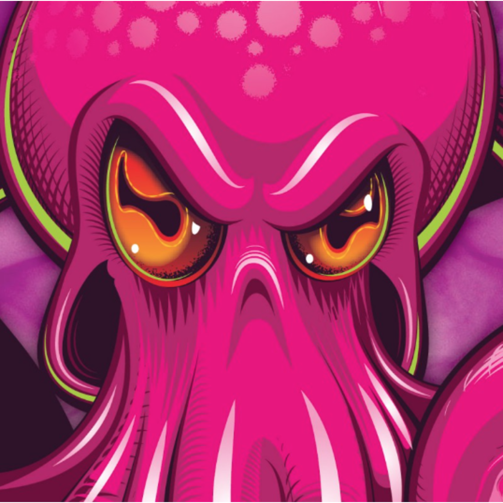 Dirtsurfer Dirtsurfer Octopus Mudguard (Pink on Pink) MTB
