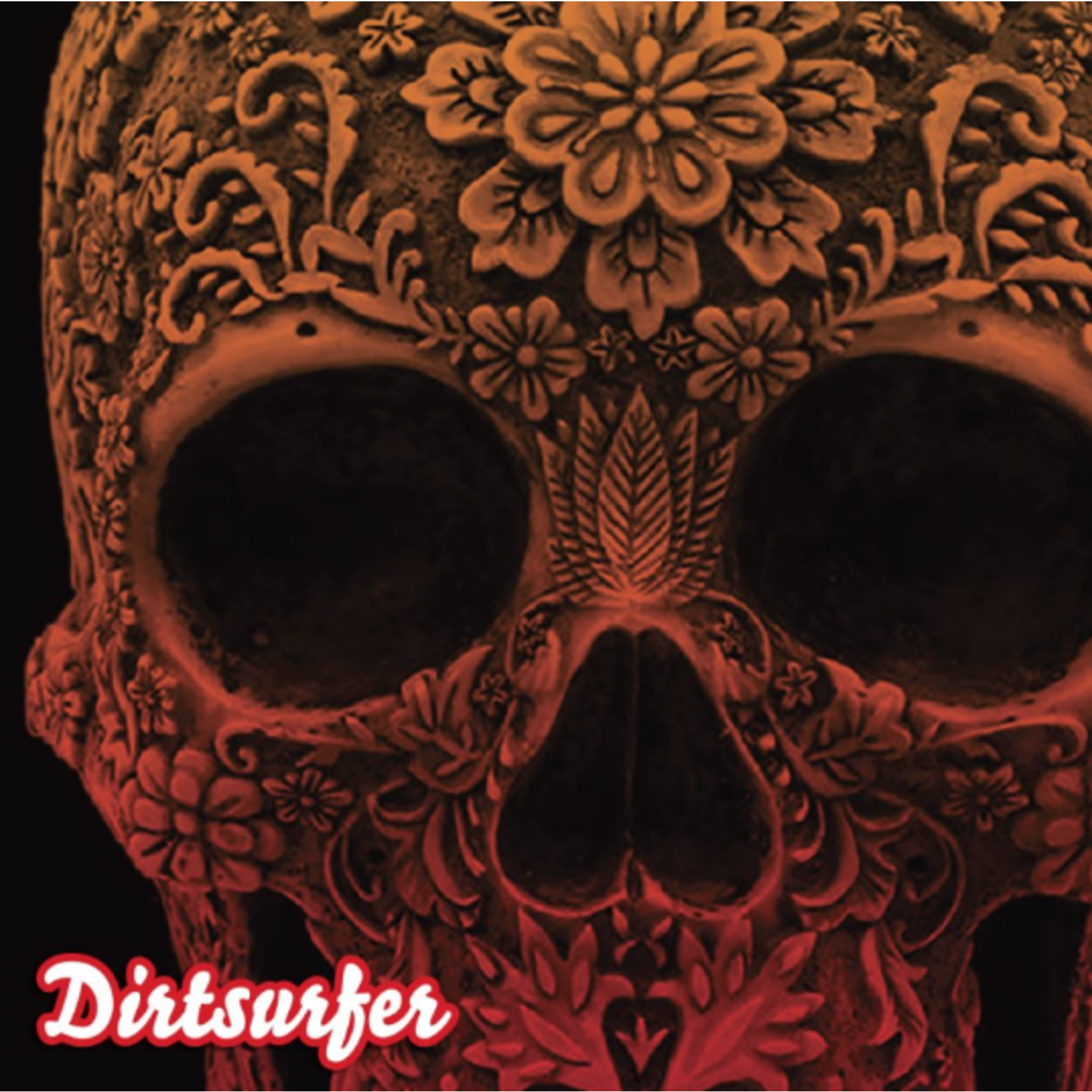 Dirtsurfer Dirtsurfer Carved Skull Mudguard MTB