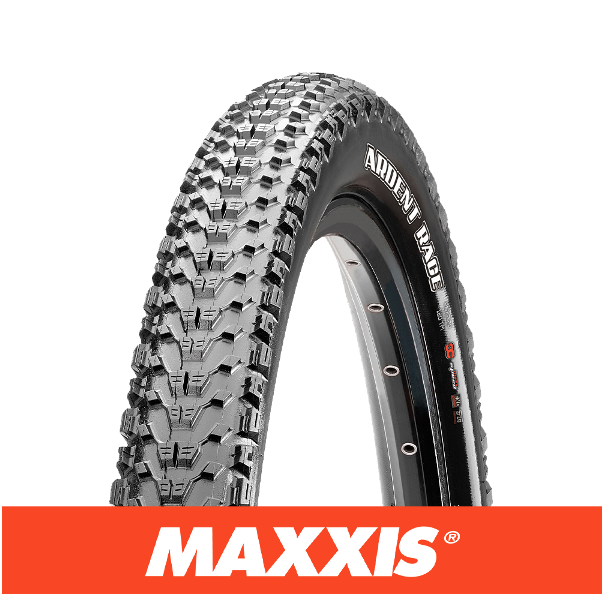 Maxxis ARDENT RACE 29 X 2.35 EXO 3C MaxxSpeed TR 120TPI Blue Cycles