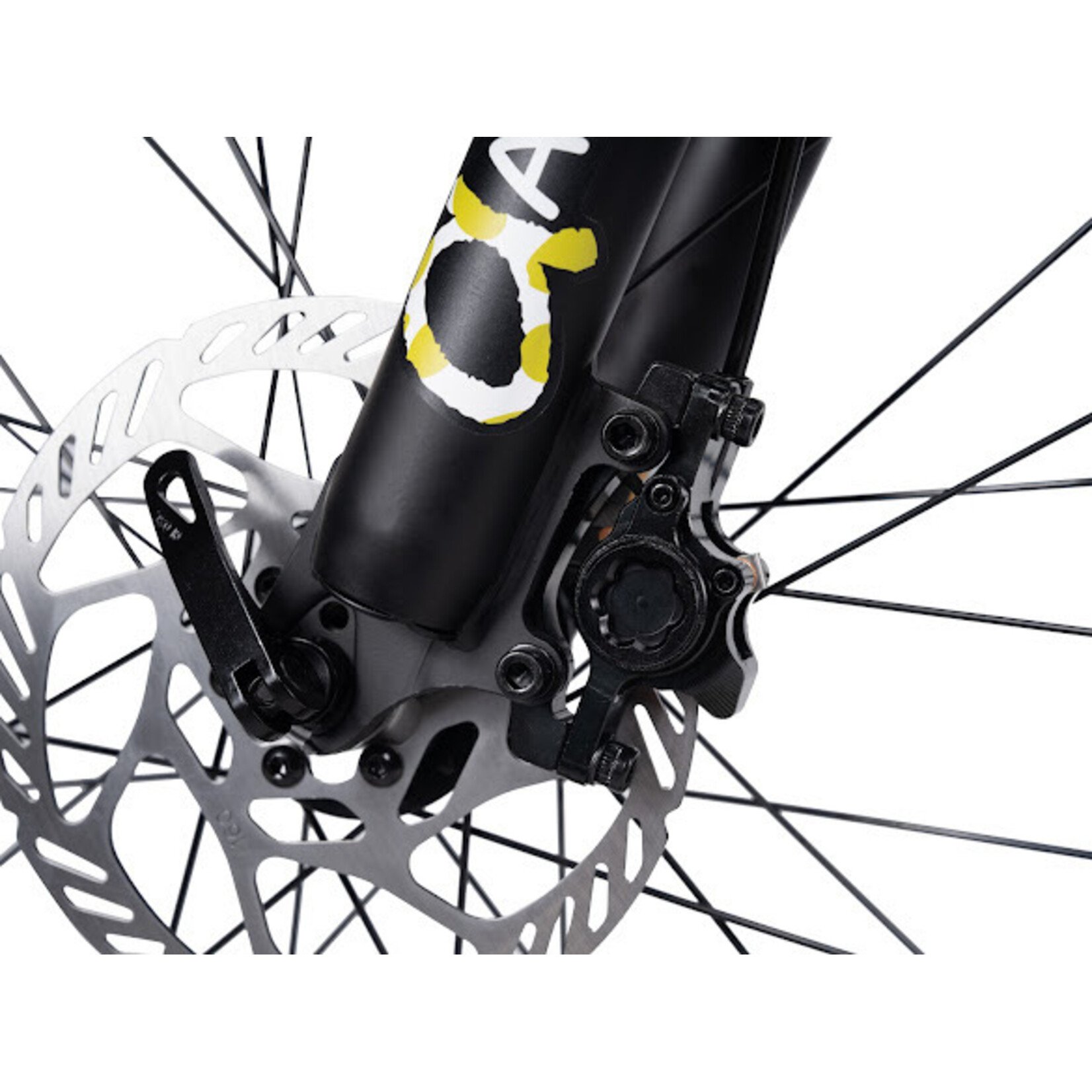 Sunpeed Sunpeed Alpha 24”