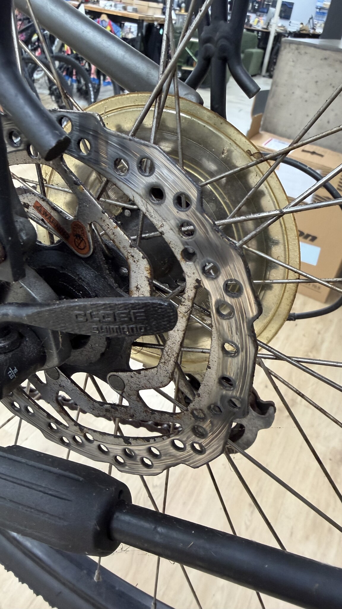 My Brakes Are Squealing: What It Means and What to Do 
