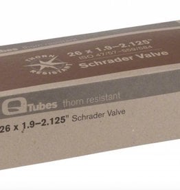 Q-Tubes Q-Tubes Thorn Resistant 26" x 1.9-2.125" Schrader Valve Tube 642g