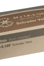 Q-Tubes Q-Tubes Thorn Resistant 24" x 1.9-2.125" Schrader Valve Tube 600g *Low Lead Valve* tube, inner tube