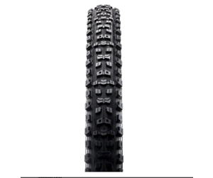 Maxxis Aggressor DoubleDown WT 2.5in rear tyre review