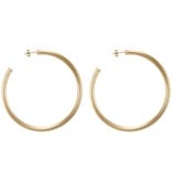 Sheila Fajl Everybody's Favorite Hoops Champagne