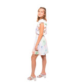 Emily McCarthy Maggie Dress in Bubbly